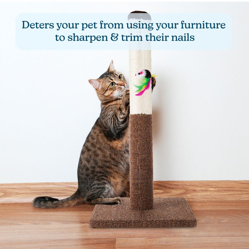 PETMAKER Cat Scratching Post - Tall Scratcher for Cats and Kittens with Sisal Rope and Carpet, Hanging Mouse Toy for Interactive Play (24.5 Inch) - Image 4